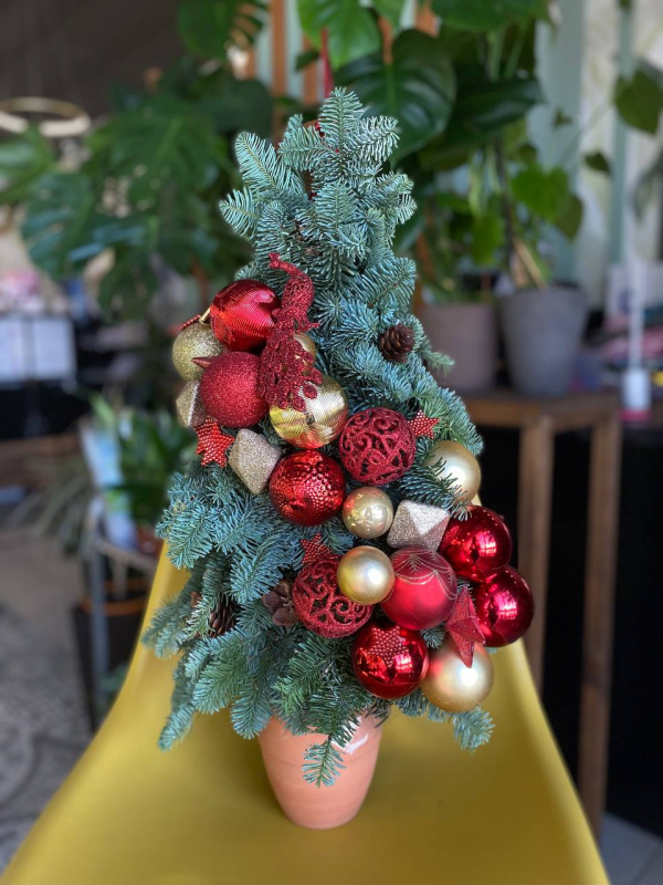 Елка из нобилиса "Огонек"