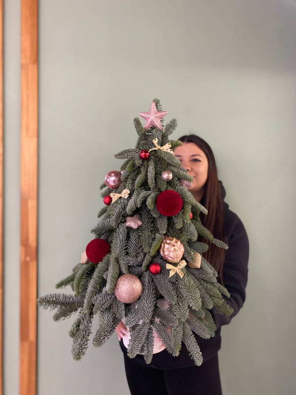 Рождественская палитра