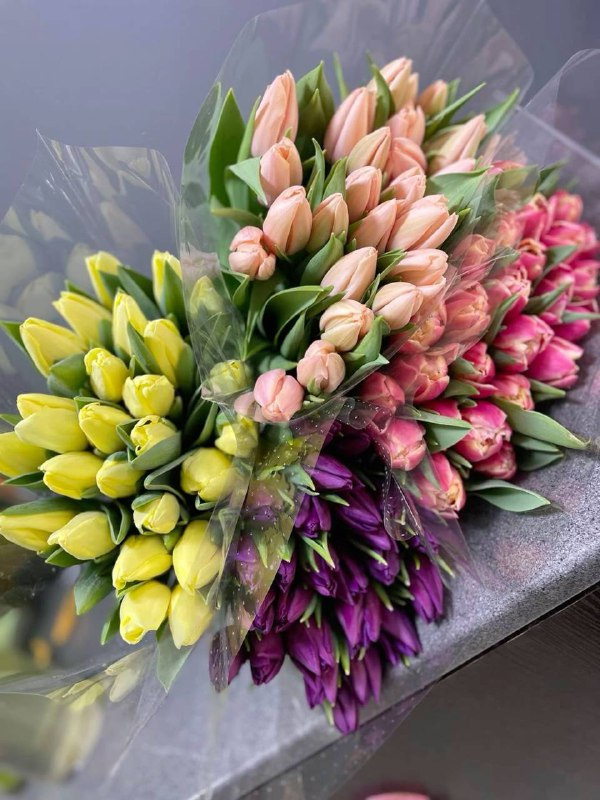 ТЮЛЬПАНЫ ЛАЙТ ПО 90 РУБ.