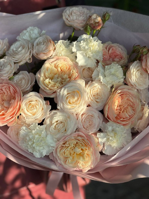 Вечерняя нежность