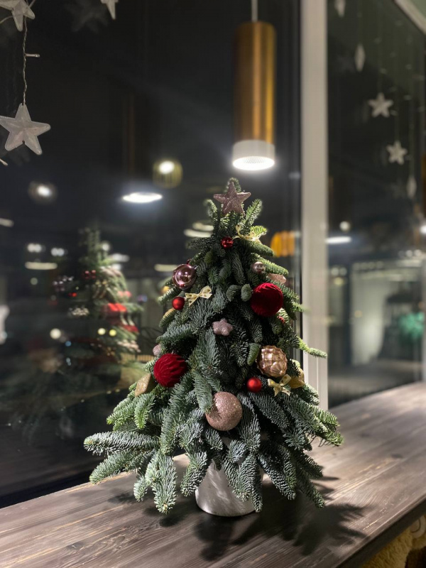 Рождественская палитра