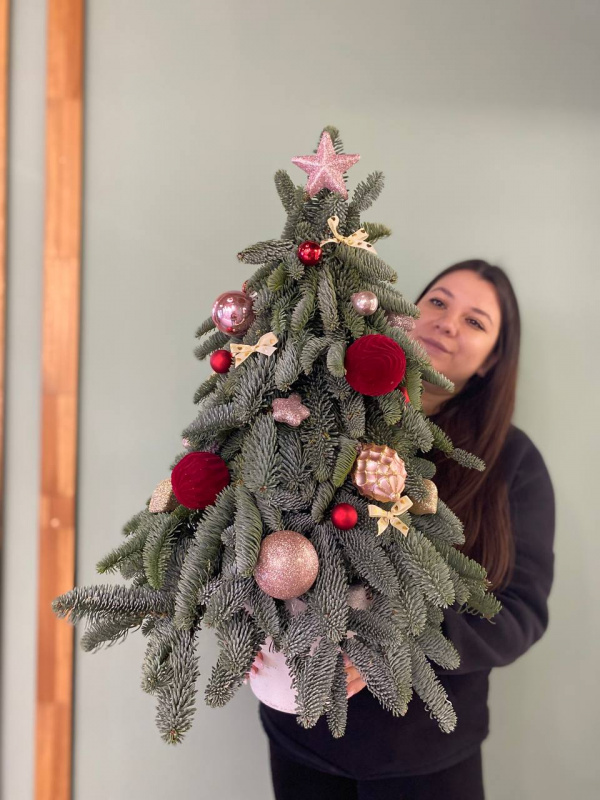 Рождественская палитра