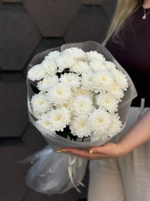 5 кустовых хризантем