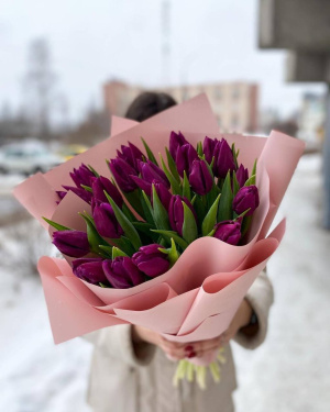 21 фиолетовый тюльпан