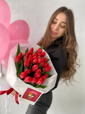 красные тюльпаны  35 шт