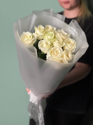Белые розы гиганты (70-80 см) в нежной упаковке