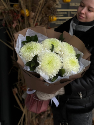 5 одноголовых хризантем  сорта "Магнум"