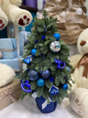 Елка из датской ели "Ледяное очарование"