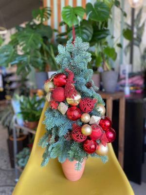 Елка из нобилиса "Огонек"