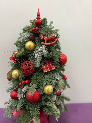 Елка из нобилиса "Искристое чудо"