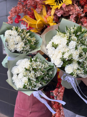 Сады Прованса