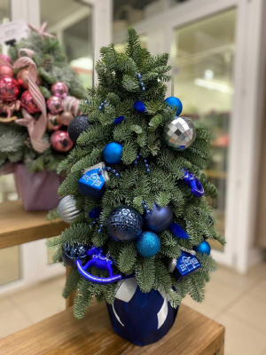 Елка из датской ели "Ледяное очарование"