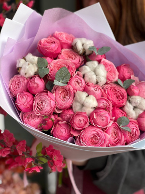 Утро в Париже