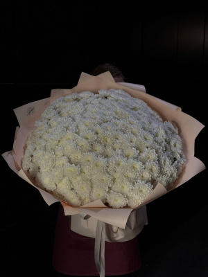 51 кустовая хризантема