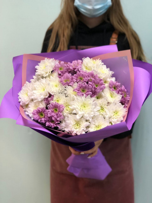 Хризантемы (микс)