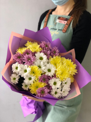 Хризантемы (микс)