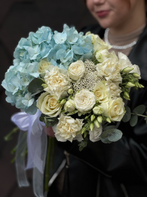 Сияние чистоты