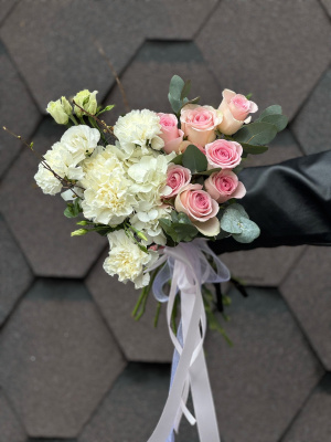 Рассвет Авроры