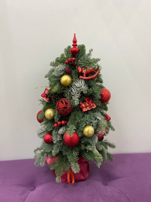 Елка из нобилиса "Искристое чудо"