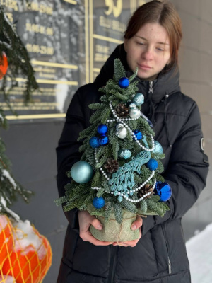 Лавка чудес