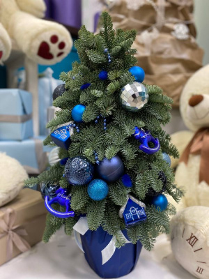 Елка из датской ели "Ледяное очарование"