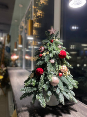 Рождественская палитра