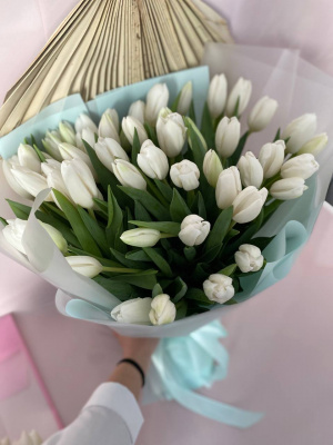 55 белых тюльпанов