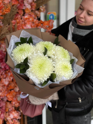 5 одноголовых хризантем  сорта "Магнум"