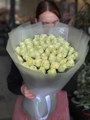 51 белая роза атена